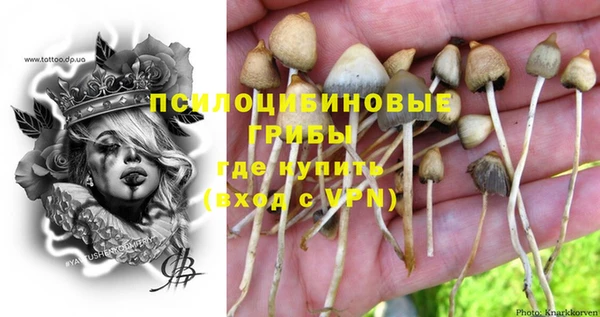 герыч Алзамай