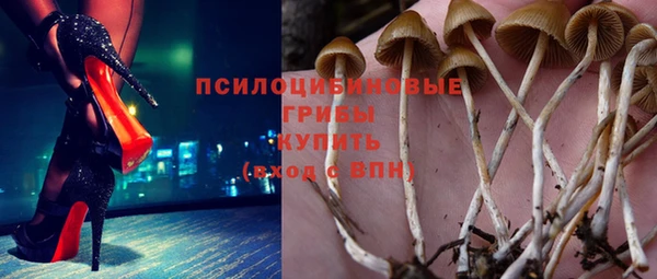 ГАЛЛЮЦИНОГЕННЫЕ ГРИБЫ Алексеевка